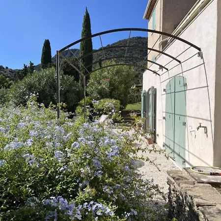 Apartment Sea View With Large Terrace 5-min Walk To The